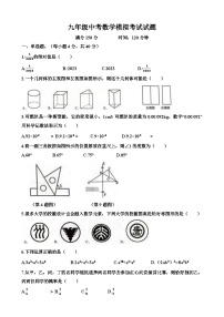 山东省济南市九年级中考数学模拟考试试题(含答案)