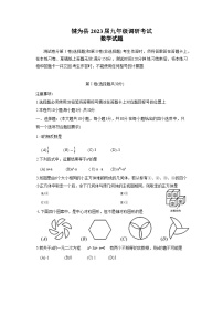 四川省乐山市犍为县2023届九年级中考调研考试数学试卷(含答案)