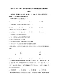 福建省莆田市2021-2022学年七年级下学期期末质量监测数学试卷(含解析)