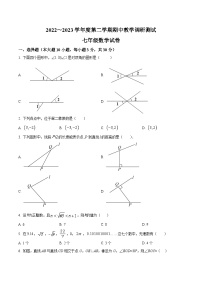 广东省湛江市徐闻县2022-2023学年七年级下学期期中教学调研测试数学试卷(含解析)