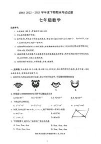 四川省成都市武侯区2022-2023学年七年级下学期期末数学试卷