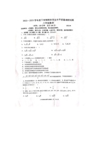 山东省临沂市沂河新区2022-2023学年八年级下学期期末学业质量调研数学试题