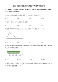 2023年浙江省杭州市上城区中考二模数学试题