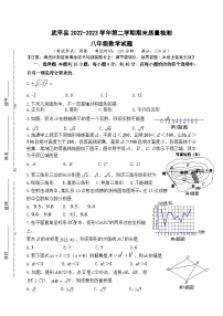 福建省龙岩市武平县2022-2023学年八年级下学期期末考数学试卷