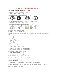 八年级(上)期中数学复习试卷