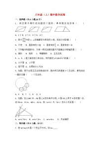 八年级(上)期中数学模拟试卷