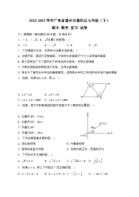 广东省惠州市惠阳区2022-2023学年七年级下学期+期末数学复习试卷