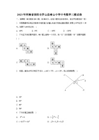 2023年河南省信阳市罗山县青山中学中考数学三模试卷（含解析）