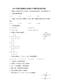 2023年湖北省襄阳市宜城市中考数学适应性试卷(含解析)