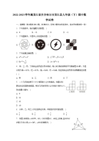 2022-2023学年黑龙江省齐齐哈尔市龙江县九年级（下）期中数学试卷（含解析）