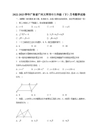 2022-2023学年广东省广州大学附中八年级（下）月考数学试卷（含解析）