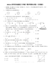 2023.6济南市高新区八年级下数学期末试卷（含答案）