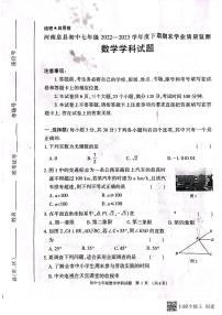 河南省信阳市息县2022-2023学年七年级下学期6月期末数学试题