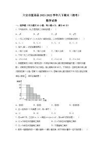 安徽省六安市霍邱县2021-2022学年八年级下学期期末考试数学试卷(含解析)