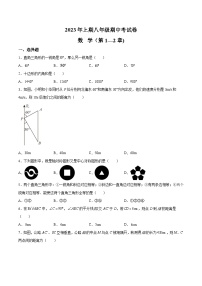 湖南省怀化市通道县2022-2023学年八年级下学期期中考试数学试卷(含解析)