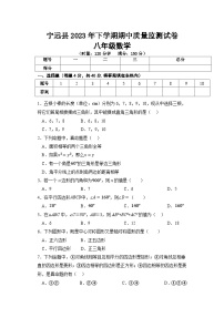 湖南省永州市宁远县2022-2023学年八年级下学期期中质量监测数学试卷(含答案)