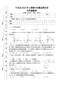 湖南省永州市宁远县2023届九年级下学期期中质量监测数学试卷(含答案)