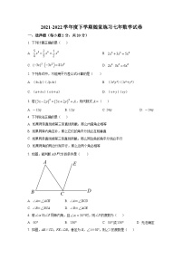 辽宁省铁岭市2021-2022学年七年级下学期期中随堂练习数学试卷(含解析)