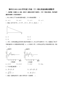 柳州市柳江中学2021-2022学年八年级下学期期末质量抽测数学试卷(含解析)