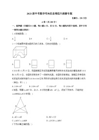 2023届中考数学考向信息卷 四川成都专版(含解析)