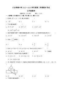 安徽省六安市皋城中学2022-2023学年七年级下学期期末数学试题(无答案)