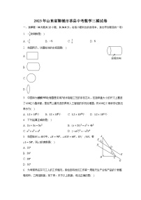 2023年山东省聊城市莘县中考数学三模试卷（含解析）