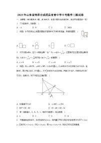 2023年山东省菏泽市成武县育青中学中考数学三模试卷（含解析）