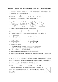 2022-2023学年山东省枣庄市滕州市八年级（下）期中数学试卷（含解析）