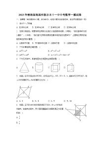 2023年青海省海西州格尔木十一中中考数学一模试卷（含解析）