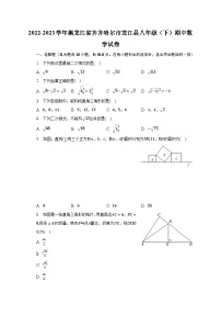 2022-2023学年黑龙江省齐齐哈尔市龙江县八年级（下）期中数学试卷（含解析）