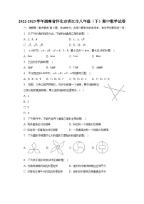 2022-2023学年湖南省怀化市洪江市八年级（下）期中数学试卷（含解析）