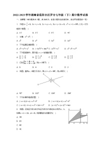 2022-2023学年湖南省岳阳市汨罗市七年级（下）期中数学试卷（含解析）