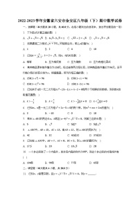 2022-2023学年安徽省六安市金安区八年级（下）期中数学试卷（含解析）