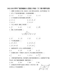 2022-2023学年广西防城港市上思县八年级（下）期中数学试卷（含解析）