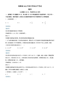 2022年海南省中考数学真题（解析版）