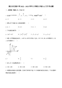 重庆市渝中区巴蜀中学校2022-2023学年九年级上学期12月月考数学试题