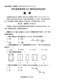 2023年四川省自贡市数学中考真题试卷(PDF版，含手写答案)