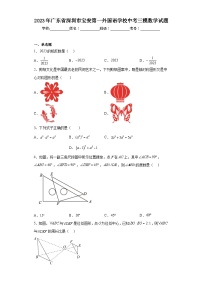 2023年广东省深圳市宝安第一外国语学校中考三模数学试题（含解析）