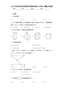 2023年河南省信阳市浉河区董家河镇中心学校三模数学试题（含答案）