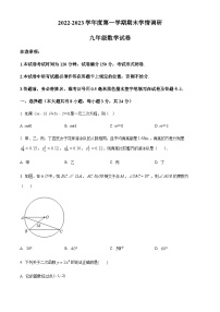 江苏省盐城市大丰区2022-2023学年九年级上学期期末数学试题