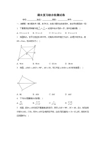 北师大版八年级数学下册期末复习综合检测试卷（无答案）
