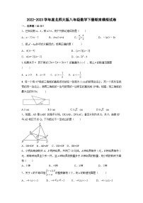 北师大版八年级数学下册期末仿真模拟试卷（无答案）