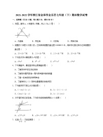 浙江省金华市金东区2021-2022学年七年级下学期期末检测数学试题(含答案)