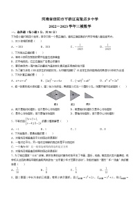 2023年河南省信阳市平桥区高梁店乡中学中考三模数学试题（含答案）