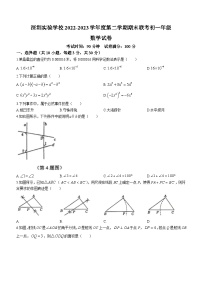 广东省深圳实验学校2022一2023学年七年级下学期期末数学试题（含答案）