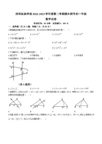 广东省深圳实验学校2022一2023学年七年级下学期期末数学试题（含答案）