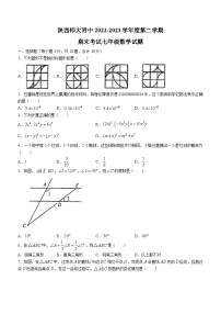 陕西省西安市雁塔区陕西师范大学附属中学2022-2023学年七年级下学期期末数学试题（含答案）