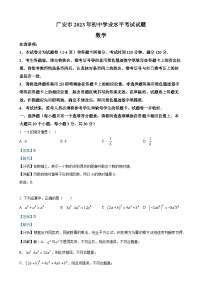 2023年四川省广安市中考数学真题（解析版）