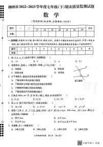 广西柳州市2022-2023学年七年级下学期期末数学试题