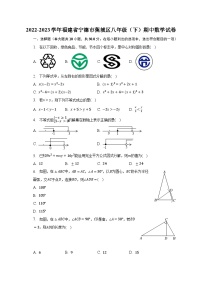 2022-2023学年福建省宁德市蕉城区八年级（下）期中数学试卷（含解析）